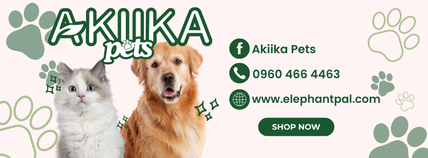 AKIIKA Carousel 3
